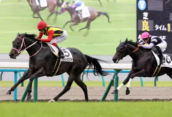 【京都４Ｒ・２歳新馬】ブライトスクリプト鮮やかデビューⅤ　池添謙一騎手も絶賛「新馬戦としては満点」　次走で重賞挑戦を視野