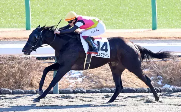【中山１Ｒ・３歳未勝利】フュルスティンと横山武史騎手が“初笑い”　「新年一発目で勝ててよかったです」