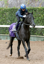 「可能性あんの？」「走らせないと思う」ダービー馬のドバイＷＣ登録が反響　クロワデュノールの次走候補に