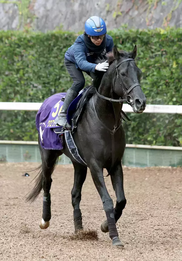 「可能性あんの？」「走らせないと思う」ダービー馬のドバイＷＣ登録が反響　クロワデュノールの次走候補に