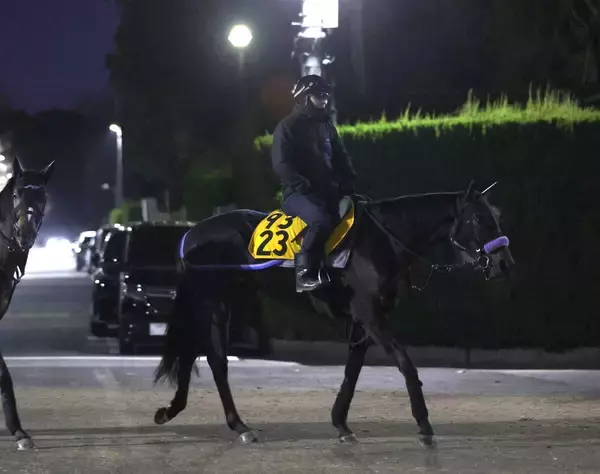 月曜中山競馬場の注目激走馬…中山１１Ｒニューイヤーステークス（Ｌ）