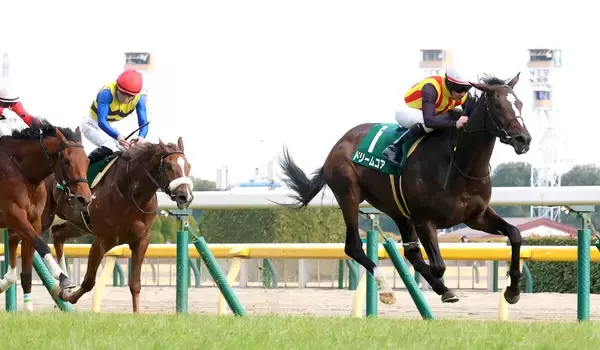 【注目馬動向】クイーンＣを制したドリームコアは桜花賞へ　母は国内外でＧ１を２勝ノームコアの良血牝馬