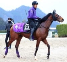 【報知杯弥生賞】朝日杯ＦＳ３着のアドマイヤクワッズは６枠６番　川田将雅騎手と初コンビのバステールは７枠８番