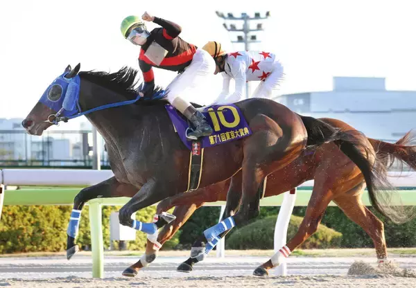 【川崎記念】東京大賞典に続くＪＲＡ勢撃破へ　ディクテオンは「状態が良すぎる」と荒山勝調教師は手応え十分