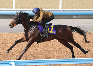 【皐月賞・１週前】ライヒスアドラーはテンションを考慮し単走で調整　佐々木大輔騎手「欲を言えば硬さがとれてほしい」