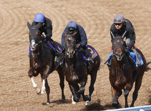 【皐月賞・１週前】上原佑厩舎勢が豪華リハ！グリーンエナジーがフォルテアンジェロと併せてラスト１０秒９と鋭進　