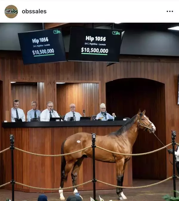 衝撃の１６億円超で落札！日米で大人気のフライトライン産駒がセール史上最高額をマーク　父は６戦無敗で現役を引退