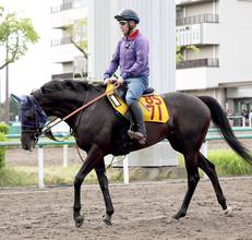 【府中牝馬Ｓ】前走Ｖに田中博師も驚くヴァルキリーバース　シックスペンス、フィンガーでＧ１制覇の勢いに乗る