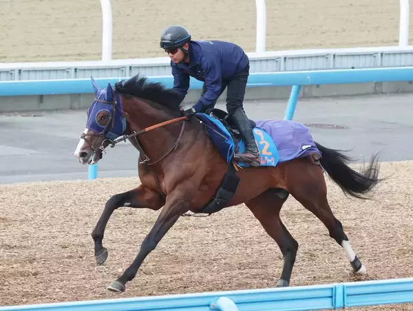 【注目馬動向】チャンピオンズ＆チャターＣ６着のローシャムパークは札幌記念へ　サンデーサラブレッドクラブが発表