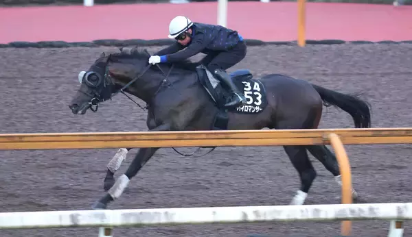 【レパードＳ】再び連勝街道へ！　パイロマンサーが坂路でパワフルな動き　吉村調教師「いい結果を出したいです」