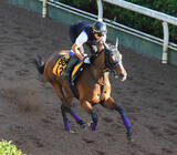 「日曜中京競馬場の注目激走馬…中京７Ｒ・ＣＢＣ賞・Ｇ３」の画像1