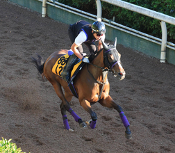 日曜中京競馬場の注目激走馬…中京７Ｒ・ＣＢＣ賞・Ｇ３