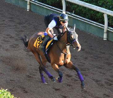 日曜中京競馬場の注目激走馬…中京７Ｒ・ＣＢＣ賞・Ｇ３