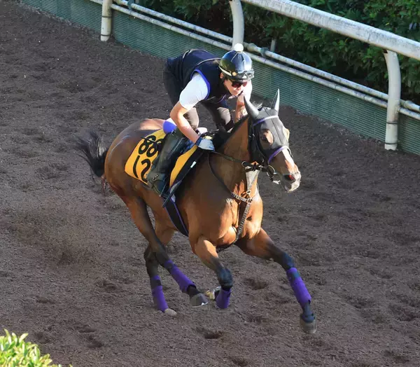 日曜中京競馬場の注目激走馬…中京７Ｒ・ＣＢＣ賞・Ｇ３