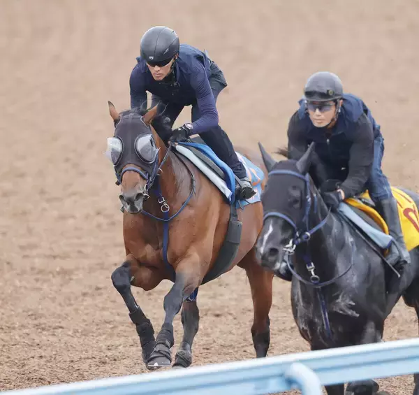 【セントウルＳ】レッドモンレーヴは馬なりで余裕たっぷりの動き　蛯名正調教師「調教過程では随分集中して走れるように」