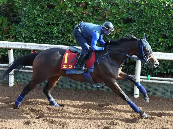 【秋華賞・松ケ下の特注馬】１強ムードのモンローウォーク　相手候補は同じキズナ産駒のエンネ　大型馬の休み明け２走目に注目