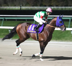 【注目馬動向】南部杯８着のレーベンスティールの次走はジャパンＣ、鳴尾記念、香港カップが候補に
