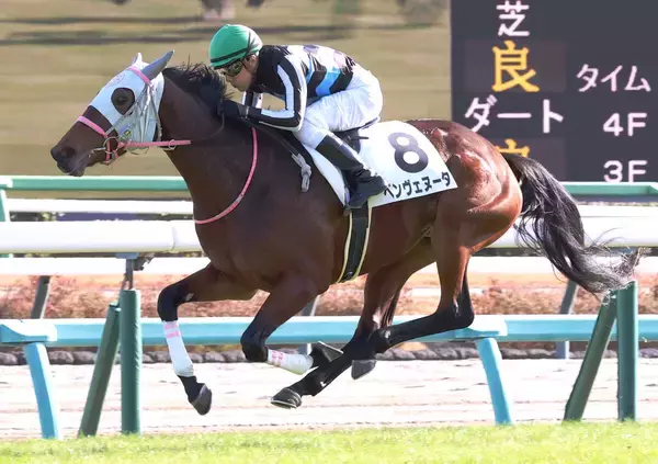 【中山５Ｒ・２歳新馬】ベンヴェヌータが理想的な立ち回りでＶ　石橋脩騎手「テンションはカギになると思います」