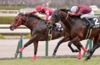 【阪神１１Ｒ・タンザナイトＳ】藤田晋オーナー「御前レース」で坂井瑠星騎手のデュガがＶ　「素晴らしいスピード」