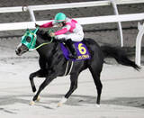 「【注目馬動向・３歳】エーデルワイス賞勝ち馬リュウノフライトは栗東・四位厩舎へ転厩　横山和生騎手とクイーンＣへ」の画像1