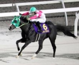 【注目馬動向・３歳】エーデルワイス賞勝ち馬リュウノフライトは栗東・四位厩舎へ転厩　横山和生騎手とクイーンＣへ