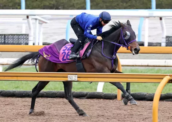 【報知杯ＦＲ】サンアントワーヌがＧ評価。「ギアを上げ続けていくのが強み」初コンタクトの荻野極も好感触