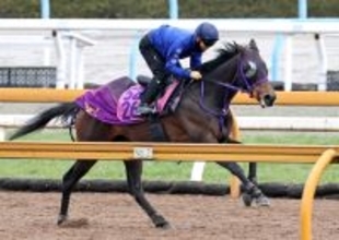 【報知杯ＦＲ】サンアントワーヌがＧ評価。「ギアを上げ続けていくのが強み」初コンタクトの荻野極も好感触