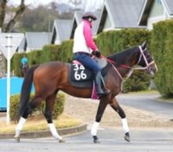 【チャーチルダウンズＣ】レシステンシアの半弟バルセシートが初タイトルへ　陣営「初ブリンカーの効果があった」