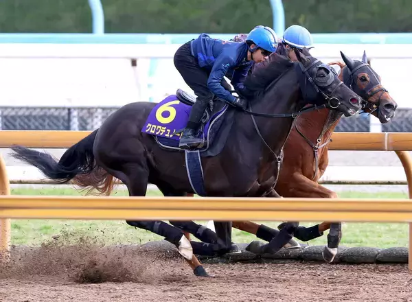 【天皇賞・春】１週間でまるで「別馬」に変身したクロワデュノール　斉藤崇調教師「格段に良くなっていました」