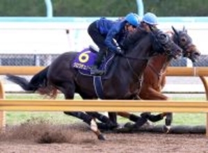 【天皇賞・春】１週間でまるで「別馬」に変身したクロワデュノール　斉藤崇調教師「格段に良くなっていました」