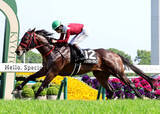 「【鞍馬Ｓ】断然人気フリッカージャブがコースレコードＶ　松山弘平騎手「非常に強かった」　今後は北九州記念を視野に」の画像1