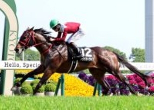 【鞍馬Ｓ】断然人気フリッカージャブがコースレコードＶ　松山弘平騎手「非常に強かった」　今後は北九州記念を視野に