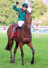 昨年の凱旋門賞馬ダリズ　あす注目の今年２戦目　５頭立てＧ１のアガ・カーン４世賞でも衝撃の末脚発揮なるか