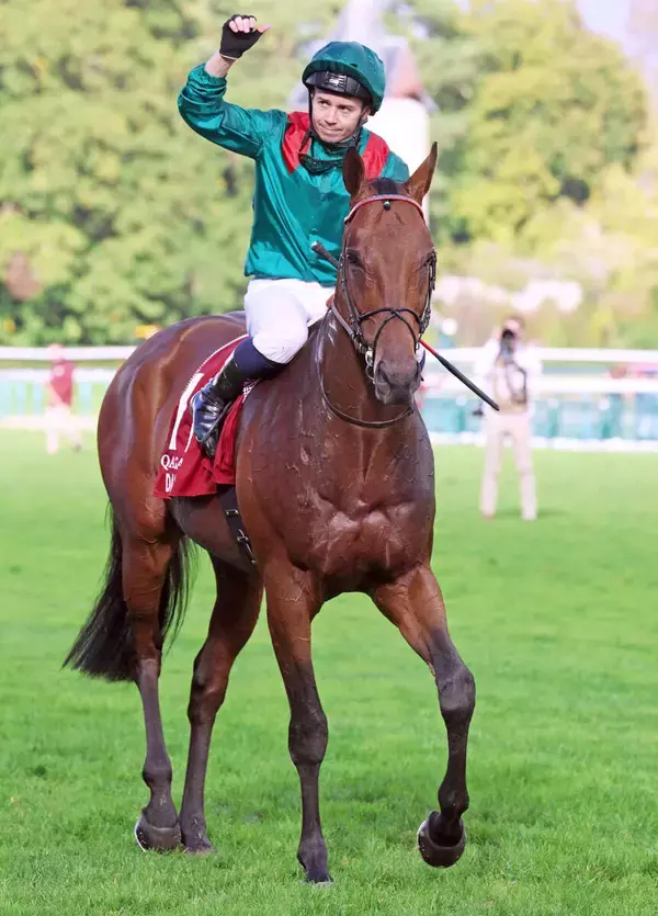 昨年の凱旋門賞馬ダリズ　あす注目の今年２戦目　５頭立てＧ１のアガ・カーン４世賞でも衝撃の末脚発揮なるか
