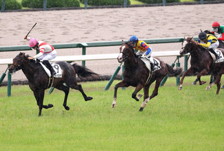 【阪神５Ｒ・２歳新馬】７番人気リュウトウコヤクが快勝　鈴木孝調教師「ゲートが速かったですから」
