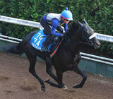 「【関屋記念】ブエナオンダは重賞２勝目へ好気配　陣営「１度使っているので、具合はよさそう」」の画像1