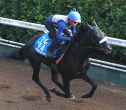 【関屋記念】ブエナオンダは重賞２勝目へ好気配　陣営「１度使っているので、具合はよさそう」