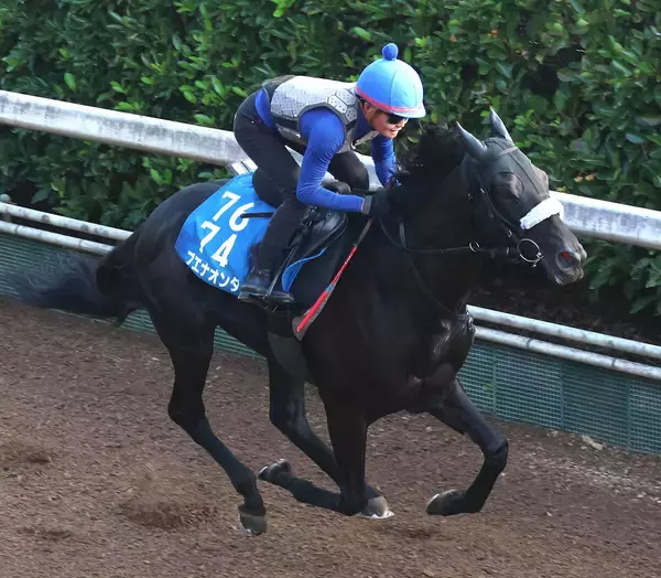 【関屋記念】ブエナオンダは重賞２勝目へ好気配　陣営「１度使っているので、具合はよさそう」