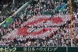 「【甲子園】大勝ムードでも「容赦ない」智弁和歌山アルプスの“魔曲”発動にＳＮＳ沸く「きたー！」「鳥肌モノ」」の画像1