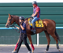 【キーンランドＣ】武豊騎手と久々のコンビ　サウンドモリアーナが順調な仕上がり　陣営「力のいる馬場の方が合う」