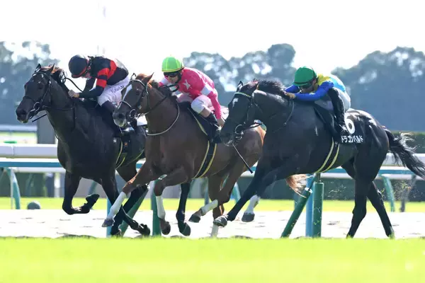 「脳汁出た」「なんでやねん」最低人気で高額牡馬２頭を撃破した牝馬のビップヴィーナスにＳＮＳ驚がく