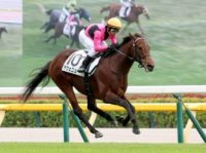 【注目馬動向】東京デビュー戦で５馬身差Ｖのラヴェニューは戸崎圭太騎手とのコンビでホープフルＳへ