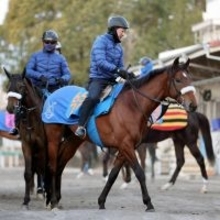 【注目馬動向】待ってました！アーモンドアイ初子アロンズロッドが帰厩後初時計　２・１４箱根特別を視野に調整