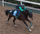 「日曜京都競馬場の注目激走馬…京都１１Ｒシルクロードステークス・Ｇ３」の画像1