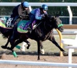 【共同通信杯１週前】Ｇ１ホースのロブチェンがここも通過点に　松山弘平騎手「まだ良くなると思っています」