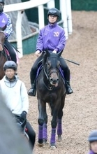 【大阪杯】重賞２勝馬ショウヘイはすでに仕上がり十分　陣営「バランスと動きが２週前にはだいぶいい状態」