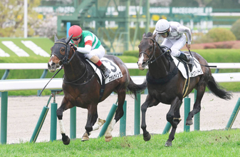 大阪杯当日の阪神競馬場の芝コースは先行有利　道悪実績もあるメイショウタバル、セイウンハーデスに向きそう
