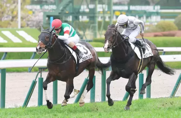 大阪杯当日の阪神競馬場の芝コースは先行有利　道悪実績もあるメイショウタバル、セイウンハーデスに向きそう