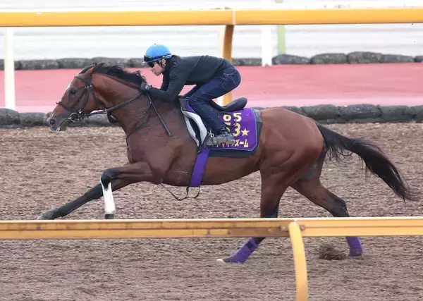 【読売マイラーズＣ】Ｇ１馬アドマイヤズームが武豊騎手と反撃へ　陣営「この馬はこんなものじゃない」