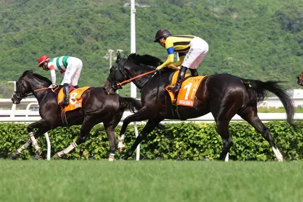 【チャンピオンズマイル】ジャンタルマンタルまさかの１３着に川田将雅騎手「まずは無事にゴールまで走ってくれたことに感謝しています」